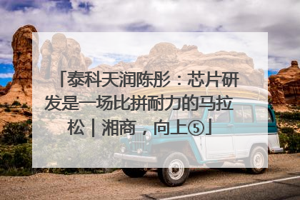 泰科天润陈彤：芯片研发是一场比拼耐力的马拉松｜湘商，向上⑤