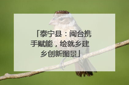 泰宁县：闽台携手赋能，绘就乡建乡创新图景