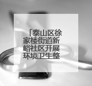 泰山区徐家楼街道新峪社区开展环境卫生整治活动