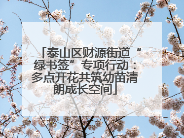 泰山区财源街道“绿书签”专项行动：多点开花共筑幼苗清朗成长空间