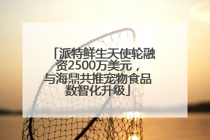 派特鲜生天使轮融资2500万美元，与海鼎共推宠物食品数智化升级