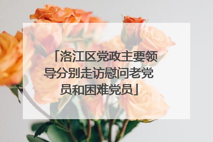 洛江区党政主要领导分别走访慰问老党员和困难党员