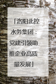 洛阳北控水务集团：党建引领助推企业高质量发展