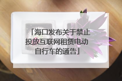 海口发布关于禁止投放互联网租赁电动自行车的通告