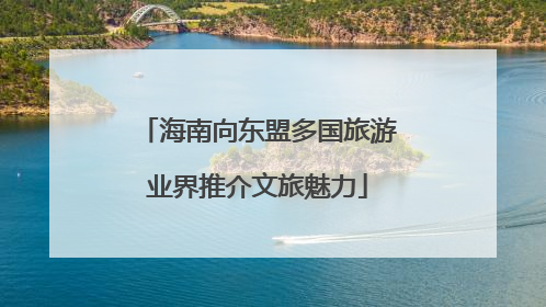 海南向东盟多国旅游业界推介文旅魅力