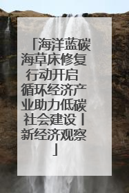 海洋蓝碳海草床修复行动开启 循环经济产业助力低碳社会建设丨新经济观察