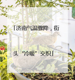济南气温骤降，街头“冷暖”交织