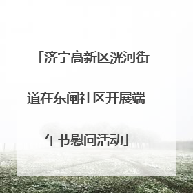 济宁高新区洸河街道在东闸社区开展端午节慰问活动