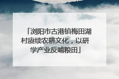 浏阳市古港镇梅田湖村赓续农耕文化，以研学产业反哺粮田