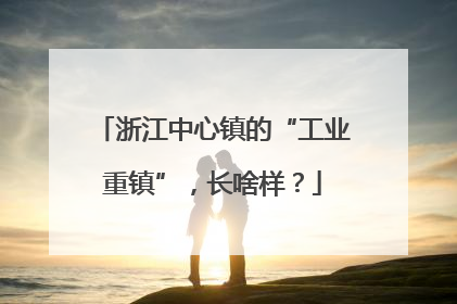 浙江中心镇的“工业重镇”，长啥样？