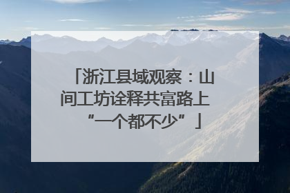 浙江县域观察：山间工坊诠释共富路上“一个都不少”