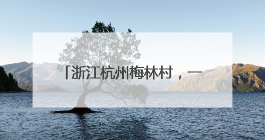 浙江杭州梅林村，一年接待游客超5万人次——梅林村，满满人气从何来（经济新方位·农村消费观察）