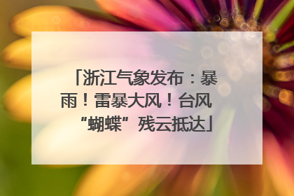浙江气象发布：暴雨！雷暴大风！台风“蝴蝶”残云抵达