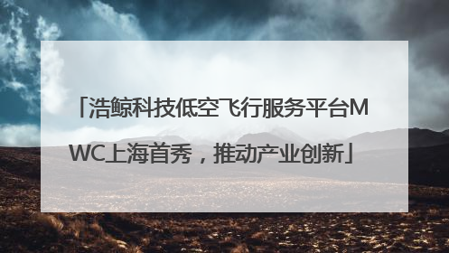浩鲸科技低空飞行服务平台MWC上海首秀，推动产业创新