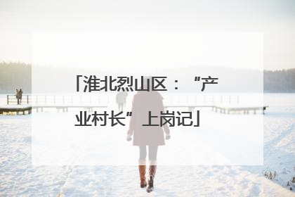 淮北烈山区：“产业村长”上岗记