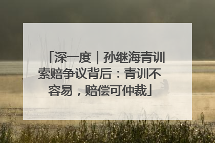 深一度｜孙继海青训索赔争议背后：青训不容易，赔偿可仲裁