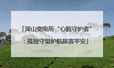深山变电所“心脏守护者”：孤独守望护航旅客平安