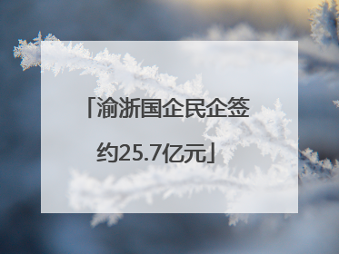 渝浙国企民企签约25.7亿元