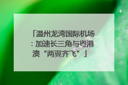 温州龙湾国际机场：加速长三角与粤港澳“两翼齐飞”