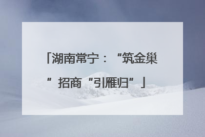 湖南常宁：“筑金巢”招商“引雁归”