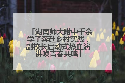 湖南师大附中千余学子奔赴乡村实践，副校长启动式热血演讲唤青春共鸣