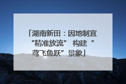 湖南新田：因地制宜“精准放流” 构建“鸢飞鱼跃”景象