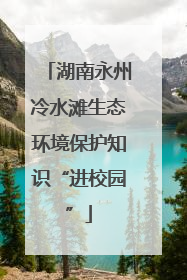 湖南永州冷水滩生态环境保护知识“进校园”