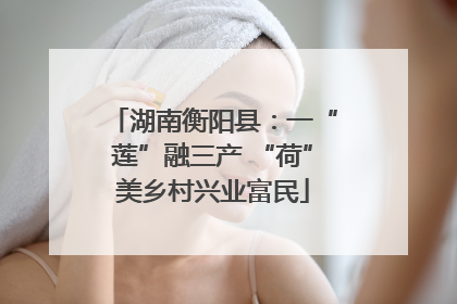 湖南衡阳县：一“莲”融三产 “荷”美乡村兴业富民