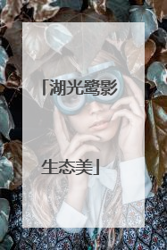 湖光鹭影生态美