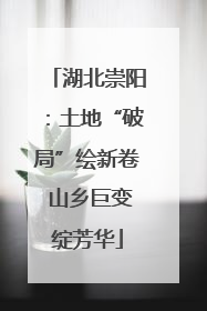 湖北崇阳：土地“破局”绘新卷 山乡巨变绽芳华