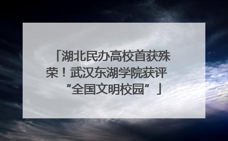 湖北民办高校首获殊荣！武汉东湖学院获评“全国文明校园”