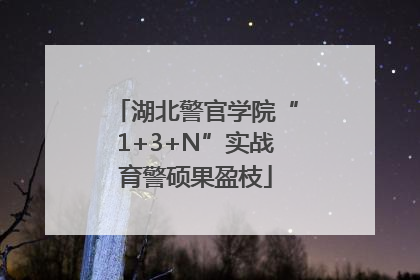 湖北警官学院“1+3+N”实战育警硕果盈枝