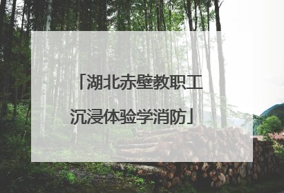 湖北赤壁教职工沉浸体验学消防
