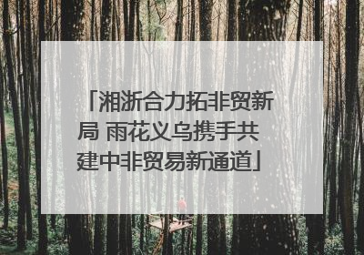 湘浙合力拓非贸新局 雨花义乌携手共建中非贸易新通道
