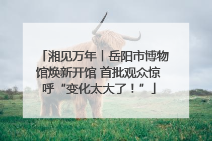 湘见万年丨岳阳市博物馆焕新开馆 首批观众惊呼“变化太大了！”