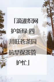 滴灌织网护新绿 四川旺苍茶园抗旱保茶管护忙
