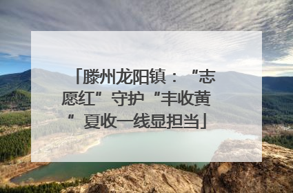 滕州龙阳镇：“志愿红”守护“丰收黄”夏收一线显担当