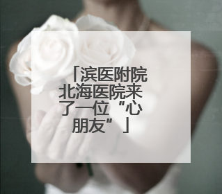 滨医附院北海医院来了一位“心朋友”