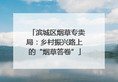 滨城区烟草专卖局：乡村振兴路上的“烟草答卷”