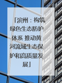 滨州：构筑绿色生态防护体系 推动黄河流域生态保护和高质量发展
