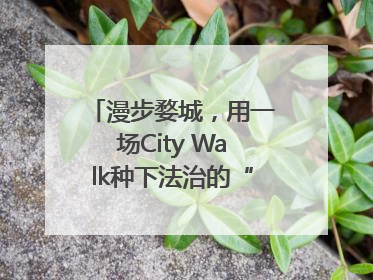 漫步婺城，用一场City Walk种下法治的“童心锚点”