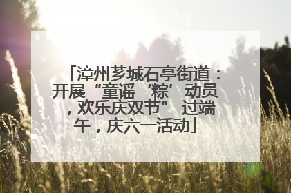漳州芗城石亭街道：开展“童谣‘粽’动员，欢乐庆双节” 过端午，庆六一活动