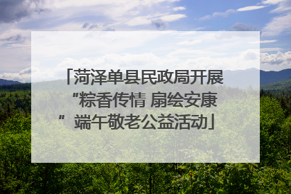 菏泽单县民政局开展“粽香传情 扇绘安康”端午敬老公益活动