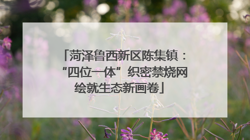 菏泽鲁西新区陈集镇：“四位一体”织密禁烧网 绘就生态新画卷