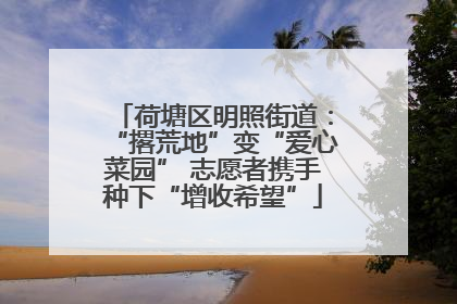荷塘区明照街道：“撂荒地”变“爱心菜园” 志愿者携手种下“增收希望”