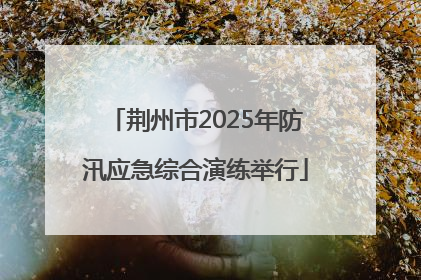 荆州市2025年防汛应急综合演练举行