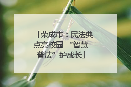 荣成市：民法典点亮校园 “智慧普法”护成长