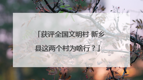 获评全国文明村 新乡县这两个村为啥行？