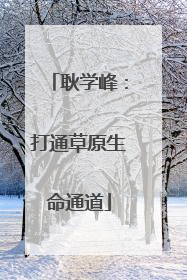 耿学峰：打通草原生命通道