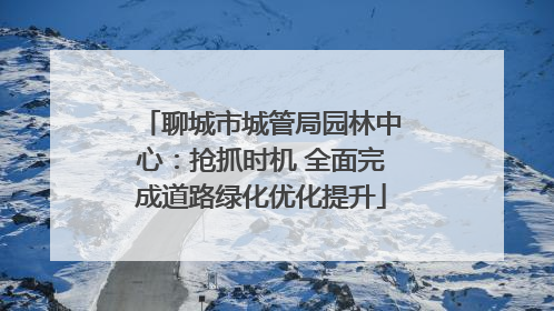 聊城市城管局园林中心：抢抓时机 全面完成道路绿化优化提升